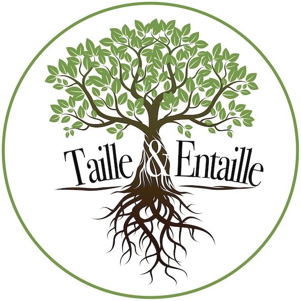 Terrasses bois &agrave; Libourne